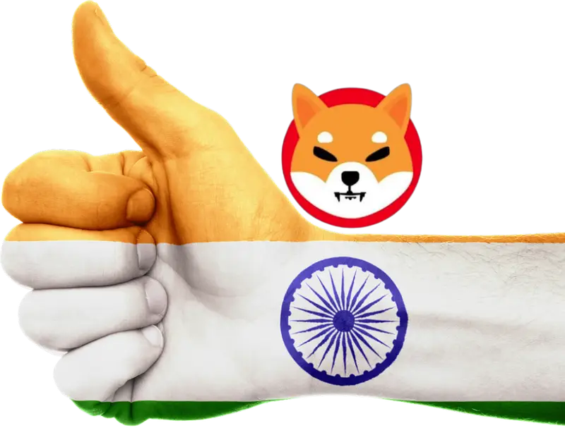 shiba inu india shib