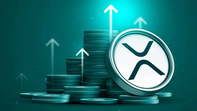 MD Puts 100% Into XRP