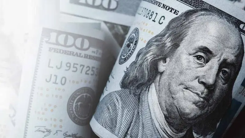 us dollar rolled bills