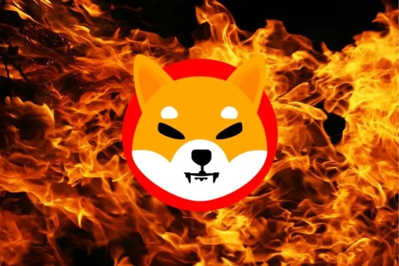 Amazon Played a Major Role in Shiba Inu Burns, Whales Scoop Up $150M SHIB