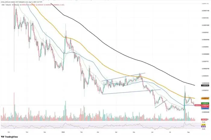 Shiba Inu Futures Open Interest Decline SHIB