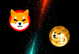 Shiba Inu (SHIB) & Dogecoin Price Prediction For November 2024