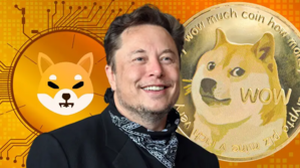 Top 3 Cryptocurrencies Owned By Elon Musk