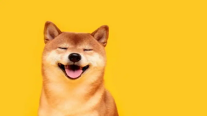 Shiba Inu in 2025, 2030, and 2040: Here’s What Prices Could Look