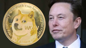 Elon Musk: Dogecoin Lawsuit Ends as Investors Withdraw Appeal