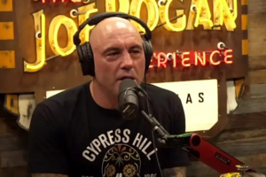 Joe Rogan Eyes This Job If Elon Musk Buys MSNBC