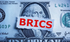 Top Economist Predicts the Future of BRICS Currency