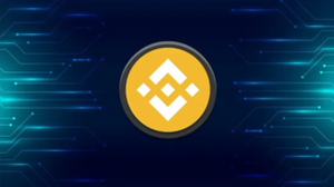 Can Binance Coin (BNB) Rise To $800 By The End of 2024?