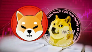 Dogecoin or Shiba Inu: Which Will Recover Faster?