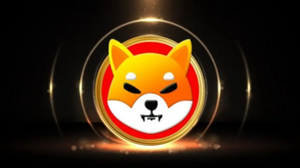 Shiba Inu: 2 Major Takeaways of Buying SHIB in 2025