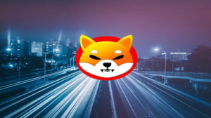Shiba Inu Rose 91,000,000% Last Bull Run: Can It Surge the Same Again?