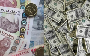 Tanzania’s Dollar Ban Signals Change for Kenya & EAC Nations