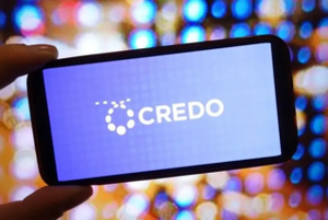 Credo Technology (CRDO) Stock Turns Tuesday's Top Performer: Rises 25%