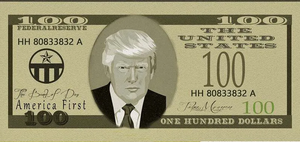 Trump Tariffs Were Supposed to Strengthen the USD: Why Is it Falling?