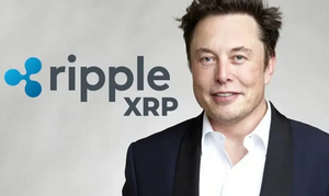 XRP to Hit $15? Elon Musk's AI Makes Bold Price Prediction