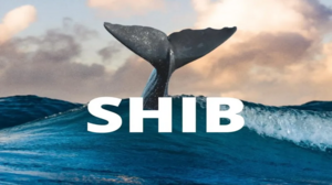 Whale Brought Shiba Inu For $3,800, Sells it for $6.05 Million