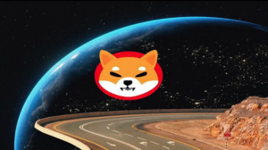 Why You Should Buy Shiba Inu Now