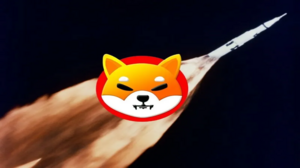 Shiba Inu (SHIB) Reveals Bold Roadmap to Drive Future Growth