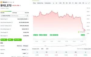 Cryptocurrency Market Faces Major Crash, Bitcoin Falls To $112k