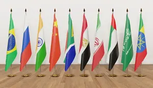 Which Countries Are Leaving the BRICS Alliance?