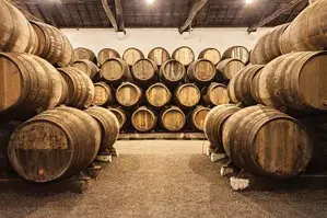 Whiskey Investment: A New Way To Grow Your Money