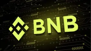 Binance's BNB Coin Turns Green: Predicted To Hit $1200 Again