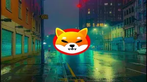 Shiba Inu Has Underperformed: Will SHIB Make a Comeback?