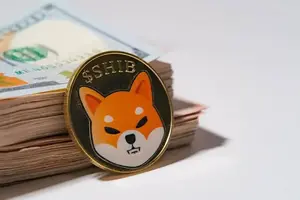 Dumping Shiba Inu Now Is Like Burning Your Own Money