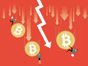 77% of Corporate Bitcoin Holders Are in Loss