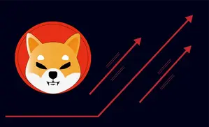 2 Powerful Reasons to Go Long on Shiba Inu Before the Next Rally