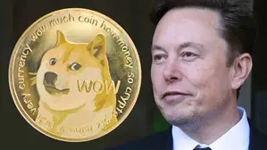 Dogecoin Down 90% From Peak: When X Money Launch?