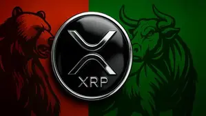 XRP Has Seen 'Major Bull Rallies' Only 5 Times in 12 Years