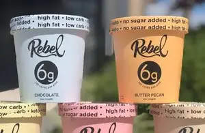 Rebel Creamery Ice Cream Lawsuit: What Happens to the Brand After Bankruptcy