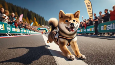 Shiba Inu: Can SHIB Reclaim $0.00004 In Q4 2024?