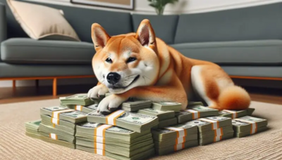 How Much Shiba Inu Do the Largest Wallets Control?