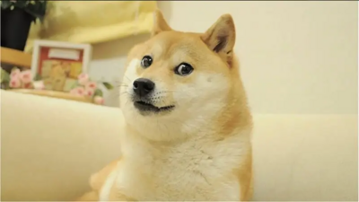 Dogecoin: Analyst Predicts 60% Rally For DOGE