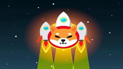 Shiba Inu Team Member Projects 1,000% Rise in 3 Days