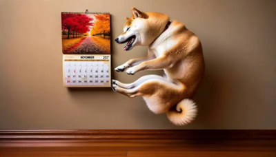 AI Sets Shiba Inu (SHIB) Price For November 2024