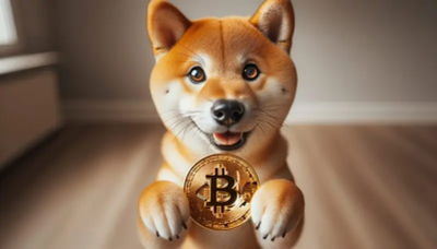 How High Can Shiba Inu Rise if its Market Cap Hits Bitcoin's