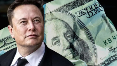 US Economy May Briefly Collapse If Trump-Musk Duo Comes Into Action