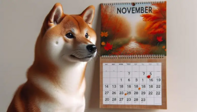 Shiba Inu: How High Will SHIB Surge In November 2024?