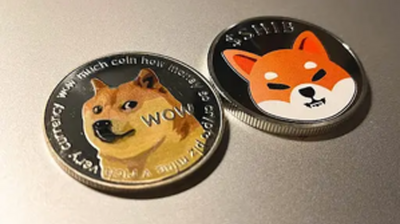 Shiba Inu Gains Momentum: SHIB Set To Outpace Dogecoin In 2025