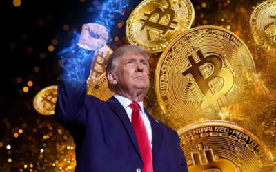 Did Donald Trump's Crypto Portfolio Decline Post Election Victory?