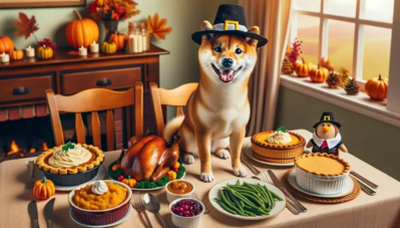 How High Will Shiba Inu Trade On Thanksgiving 2024?