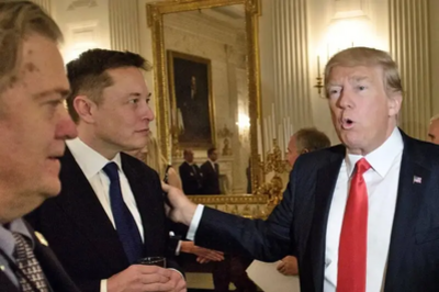 Elon Musk Says IRS Will be Audited by DOGE Commission