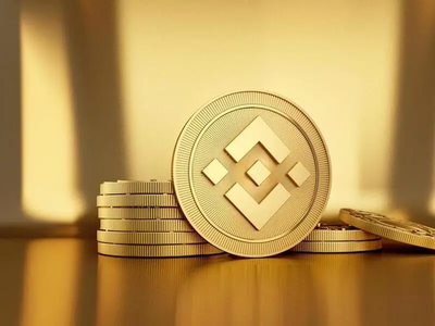 Binance Coin (BNB): Could Supply Growth Bring 100% Gains?
