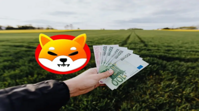 Shiba Inu: How An Investment of $100 in SHIB Turned $18 Million