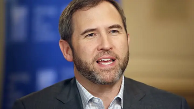 Ripple CEO Rejects Bitcoin Reserve Proposal