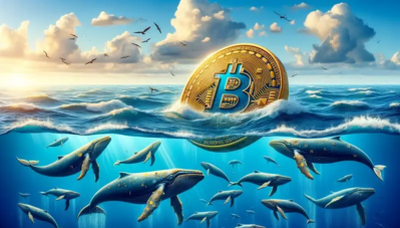 Bitcoin: Whales Accumulate BTC Despite Being Near Its All-Time High