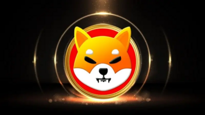 Shiba Inu: 2 Major Takeaways of Buying SHIB in 2025